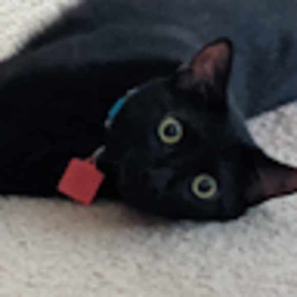 Meet your Posher, Jen12106 - Picture 1 of 1